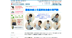 Desktop Screenshot of ogasawara-chiryo.com